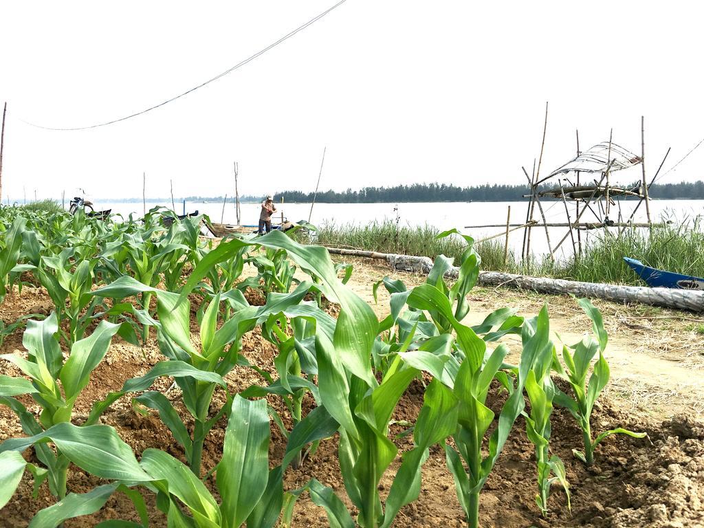 Riverside Hamlet Homestay & Villa Хой Ан Екстериор снимка